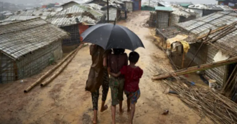 রোহিঙ্গা শরণার্থী সংখ্যা বেড়ে ১ লাখ ৪৪ হাজার ৪৫৬, ইউএনএইচসিআর প্রতিবেদন প্রকাশ