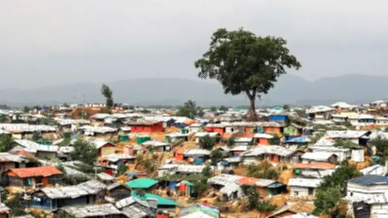 রোহিঙ্গা জনসংখ্যা বৃদ্ধি, শিক্ষা পর্ষদ পুনর্গঠন ও কক্সবাজারে নতুন রেস্তোরাঁর খবর