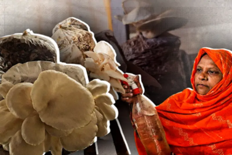 বাংলাদেশে অনলাইন শিক্ষার প্রসারে নতুন উদ্যোগ: ডিজিটাল প্ল্যাটফর্মের মাধ্যমে শিক্ষার্থীদের সুযোগ বৃদ্ধি