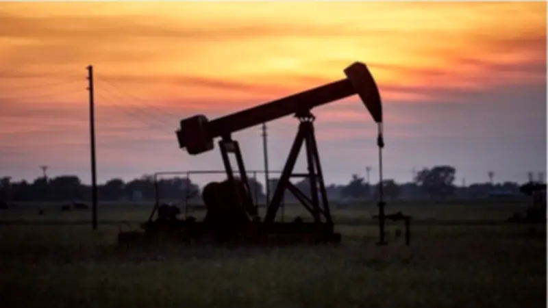 বাংলাদেশে অনলাইন শিক্ষার নতুন সম্ভাবনা: ডিজিটাল প্ল্যাটফর্মের সম্প্রসারণ