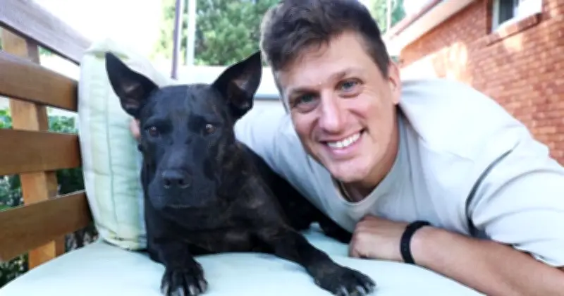 এআই প্রযুক্তিতে কুকুরের ক্যানসার চিকিৎসায় অস্ট্রেলীয় উদ্যোক্তার সাফল্য