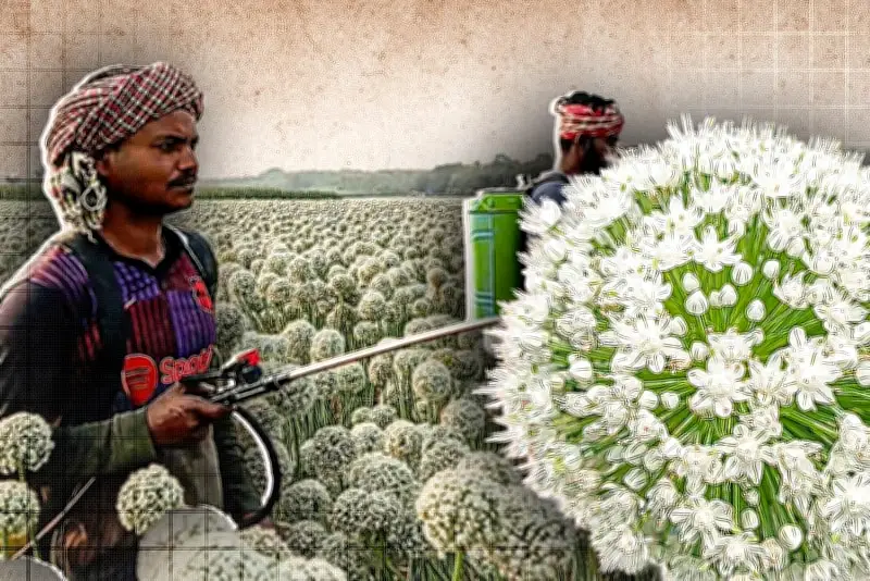 বাংলাদেশে অনলাইন শিক্ষার চ্যালেঞ্জ ও সম্ভাবনা: নতুন গবেষণা প্রতিবেদন প্রকাশ