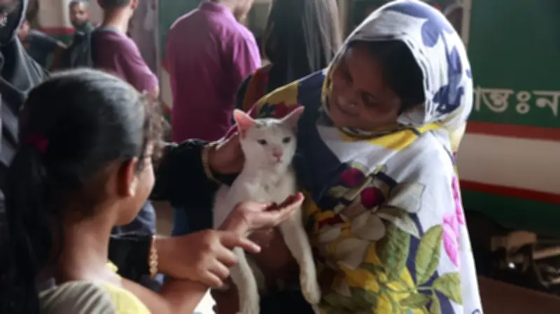 ঈদযাত্রায় স্বস্তি: কমলাপুরে ট্রেন সময়মতো ছাড়ছে, যাত্রীদের ভোগান্তি কম