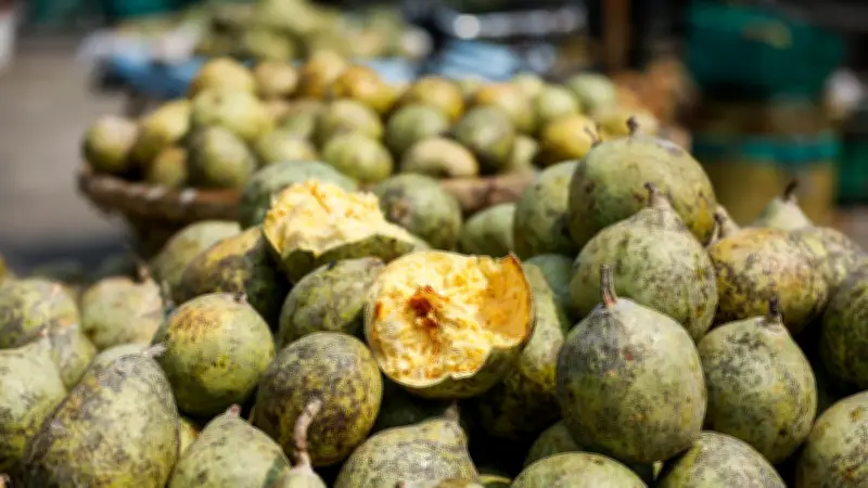 বেলের বাণিজ্য: আড়তে পাকা বেলের সংগ্রহ থেকে ভ্রাম্যমাণ বিক্রেতার হাত পর্যন্ত