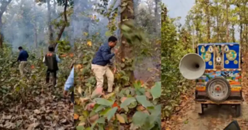 গাজীপুরের শ্রীপুরে ভাওয়াল বনে লাগা আগুন নেভাতে বনকর্মীদের তৎপরতা, সচেতনতায় মাইকিং