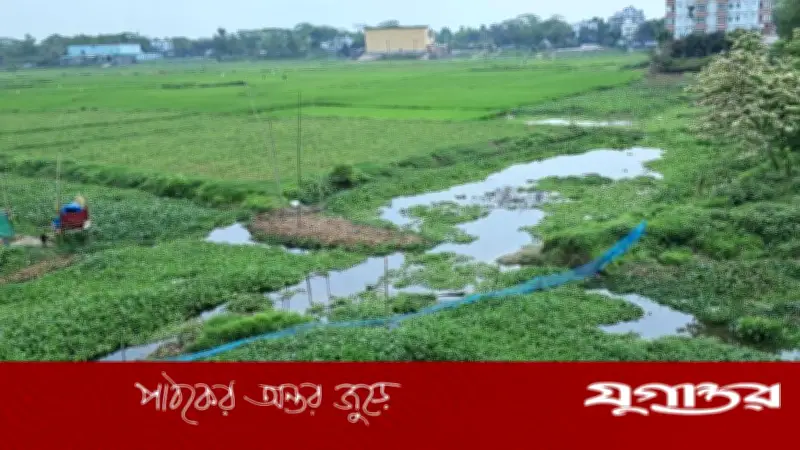 ইছামতি নদী শুকিয়ে খাল, স্থানীয়দের দ্রুত খননের দাবি