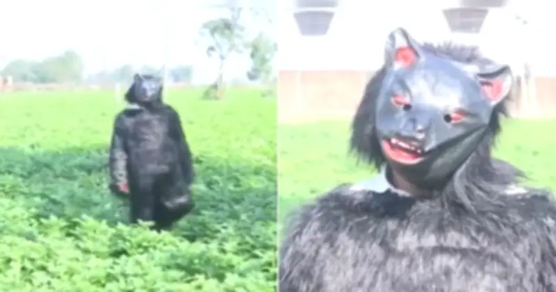 ভারতে কৃষকের অভিনব কৌশল: ভাল্লুকের পোশাক পরে বানর তাড়াচ্ছেন