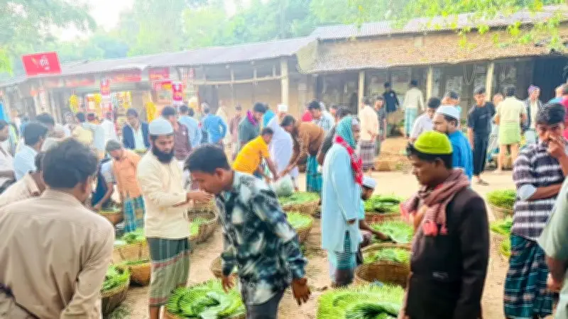 পান চাষে বদলে গেছে শিলখালীর অর্থনীতি, তিন হাজার মানুষের কর্মসংস্থান