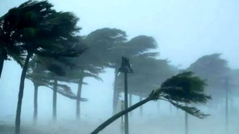 বাংলাদেশি নাগরিকদের প্রত্যাবর্তন, প্রাকৃতিক দুর্যোগ ও রাজনৈতিক উত্তেজনা: এক নজরে