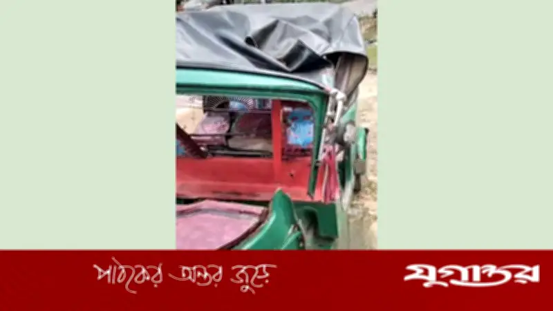 মৌলভীবাজারে চলন্ত অটোরিকশায় গাছ ভেঙে পড়ায় নারী নিহত, আহত দুইজন
