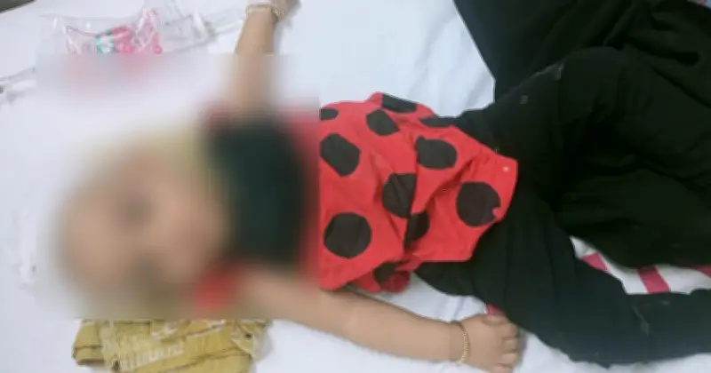 বগরায় সড়ক দুর্ঘটনায় একই পরিবারের ৪ জন নিহত, অলৌকিকভাবে বেঁচে গেছে দেড় বছরের শিশু