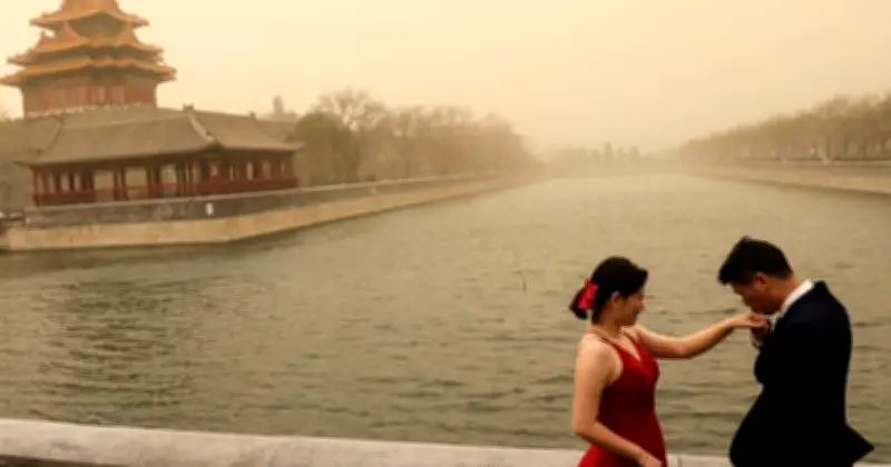 চীনের বিশ্ববিদ্যালয়ের অভিনব আহ্বান: পড়াশোনা বাদ দিয়ে ফুল দেখুন, প্রেমে পড়ুন