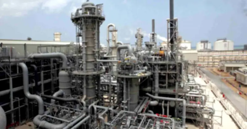 ইরানের হামলায় কাতারএনার্জির এলএনজি উৎপাদন সক্ষমতা ১৭ শতাংশ ধ্বংস, মেরামতে ৩-৫ বছর