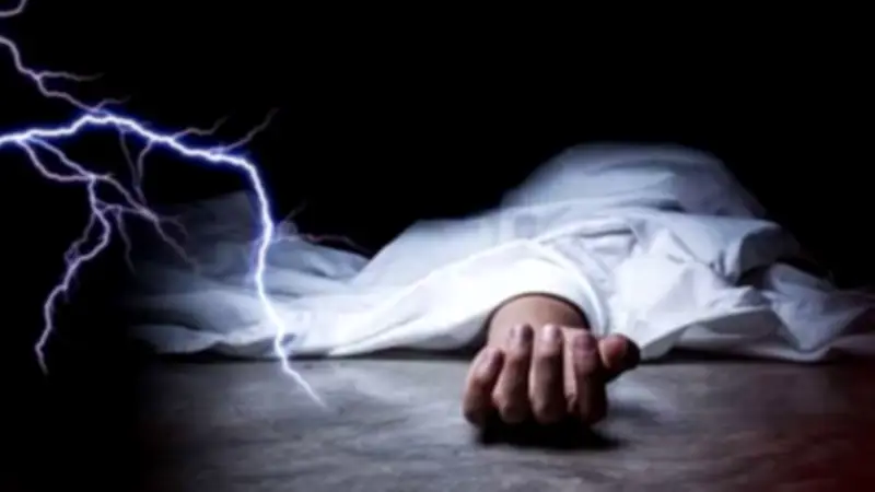 ফরিদপুরে বজ্রপাতে কৃষকের মৃত্যু, ঝালকাঠিতে ঈদ উদযাপন ও মুরাদনগরে কৃষিজমি রক্ষার অভিযান