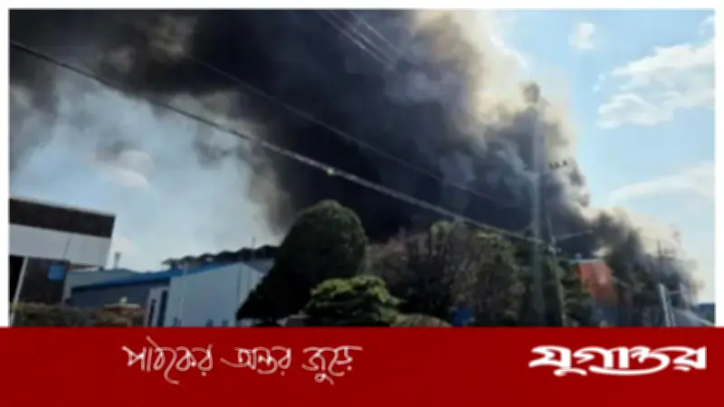 দক্ষিণ কোরিয়ায় গাড়ি কারখানায় অগ্নিকাণ্ডে ১১ জনের মৃত্যু, আহত ৫৯