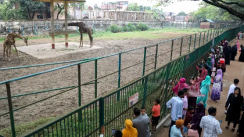 ঈদের দিনে ঢাকা চিড়িয়াখানায় মানুষের ঢল, শিশুদের আনন্দে মাতোয়ারা পরিবেশ