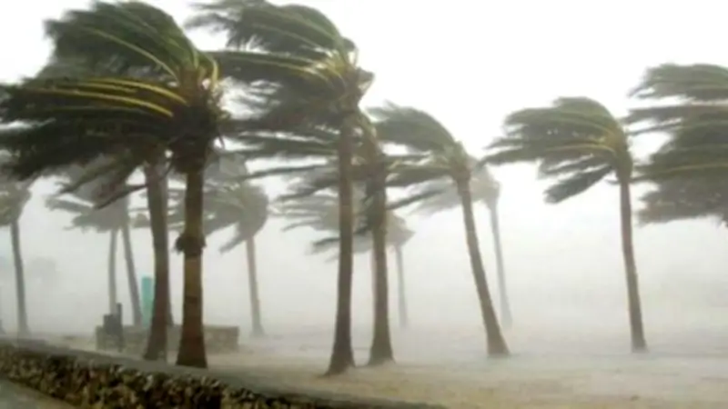 ঢাকাসহ ৬০ কিমি বেগে ঝড়ের পূর্বাভাস, প্রধানমন্ত্রীর ঈদ শুভেচ্ছা ও অন্যান্য গুরুত্বপূর্ণ খবর