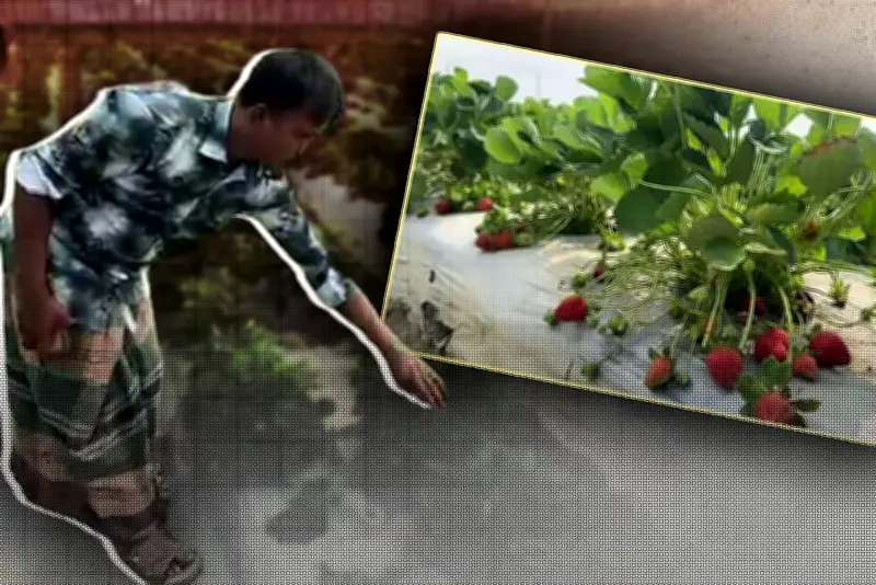 বাংলাদেশে অনলাইন শিক্ষার নতুন সম্ভাবনা: প্রযুক্তির মাধ্যমে শিক্ষার প্রসার