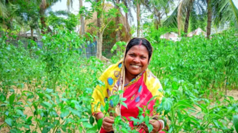উপকূলের নারীদের জীবন বদলে দিল জিসিএ প্রকল্প: নিরাপদ পানি ও জীবিকায়নে নতুন সম্ভাবনা