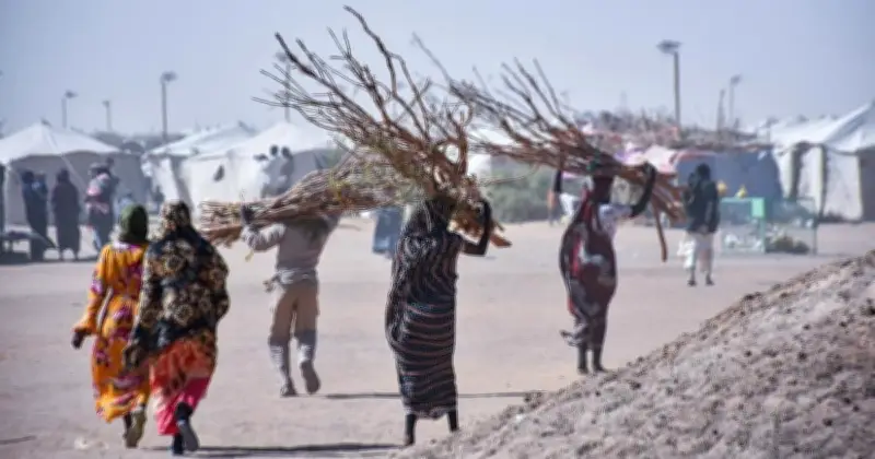সুদানের দারফুরে হাসপাতালে হামলায় ৬৪ জন নিহত, শিশু ও স্বাস্থ্যকর্মীদের মৃত্যুতে আন্তর্জাতিক উদ্বেগ