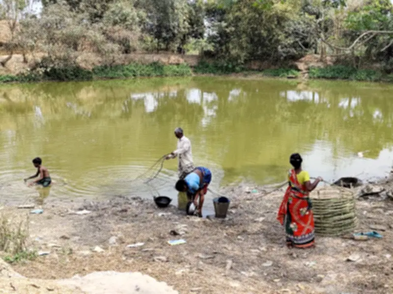 নওগাঁর বরেন্দ্রে পানির স্তর উদ্বেগজনক হারে নিচে, সংকটে জনজীবন