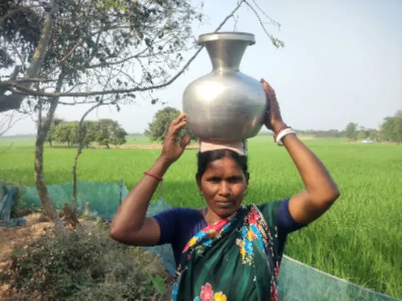 বরেন্দ্রের পানিসংকটে নারীর যন্ত্রণা: সুমিত্রা হেমব্রমের জীবনযুদ্ধ