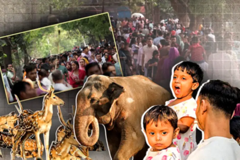 বাংলাদেশে অনলাইন শিক্ষার চ্যালেঞ্জ ও সম্ভাবনা নিয়ে নতুন গবেষণা প্রকাশ