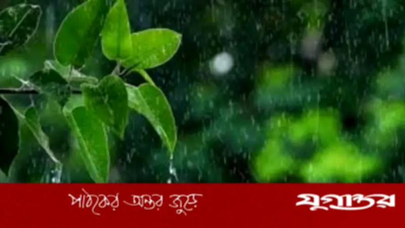 বৃষ্টির পর ফিরেছে শীতের আমেজ, আবহাওয়ায় হঠাৎ পরিবর্তনের পূর্বাভাস
