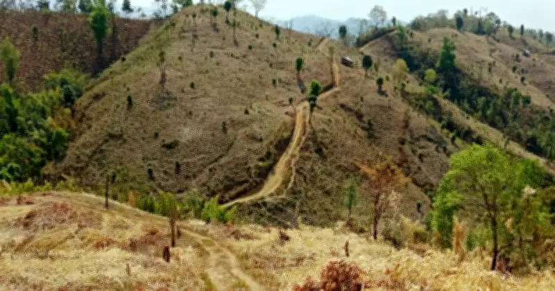 বান্দরবানের দুর্গম পাহাড়ে নিজেদের টাকায় রাস্তা বানালো চার পাড়ার মানুষ, ৯ লাখ টাকা ব্যয়