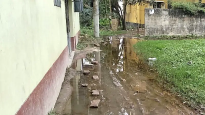 মাধবপুরে বৃষ্টিতে পানি বন্দি সংঘর্ষে বৃদ্ধ নিহত, ইরানে বিস্ফোরণে হাসপাতাল আক্রান্ত