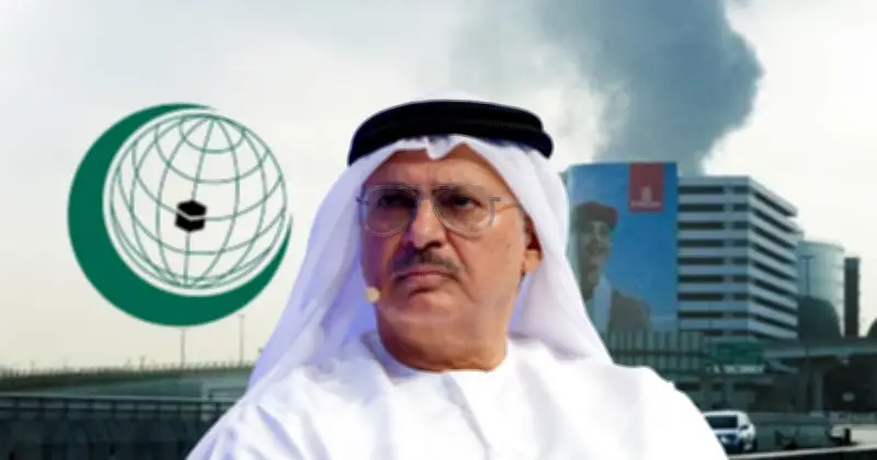 সংযুক্ত আরব আমিরাতের শীর্ষ কর্মকর্তা বড় আরব ও ইসলামী দেশগুলোর ভূমিকা নিয়ে প্রশ্ন তুললেন