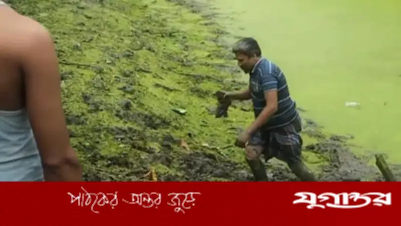 ভোলায় পুকুরে মাছ ধরতে গিয়ে দৃষ্টি প্রতিবন্ধী জসিমের হাতে বিদেশি পিস্তল