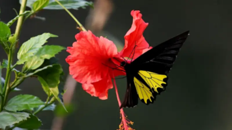 ঈদের ছুটির মিশ্র চিত্র: পর্যটনে ভিড়, কৃষিতে ব্যস্ততা ও রাজনৈতিক সংঘর্ষ