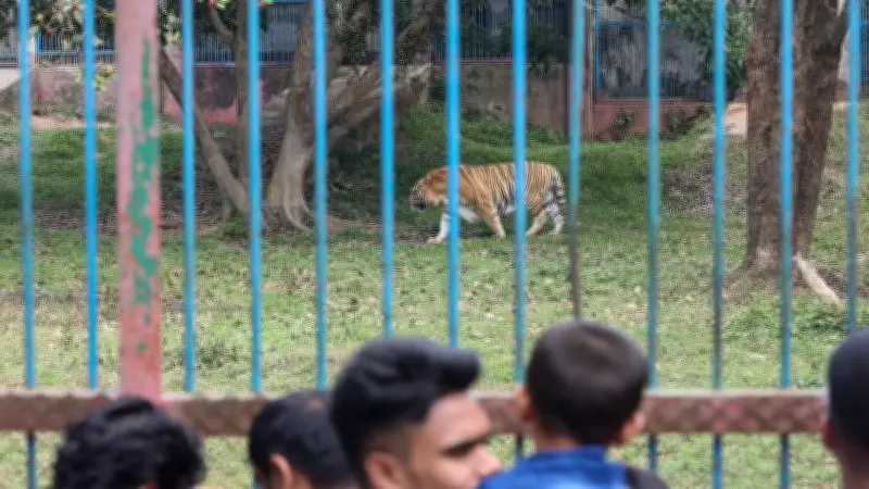 ঈদে জাতীয় চিড়িয়াখানায় দর্শনার্থীর ঢল, তিন দিনে সাড়ে ৪ লাখ মানুষ