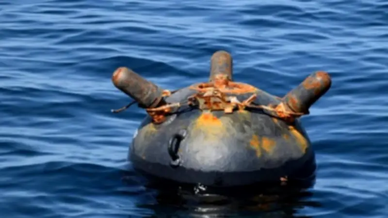 ইরানের পারস্য উপসাগরে মাইন বসানোর হুমকি, ভারতের বিমানবাহিনীতে পাকিস্তানি গুপ্তচর আটক