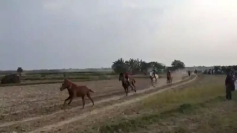 ফরিদপুরে ঘোড়দৌড়ে বিশৃঙ্খলা: ছিনতাই, টোল আদায় ও আন্তর্জাতিক সংবাদে উত্তেজনা