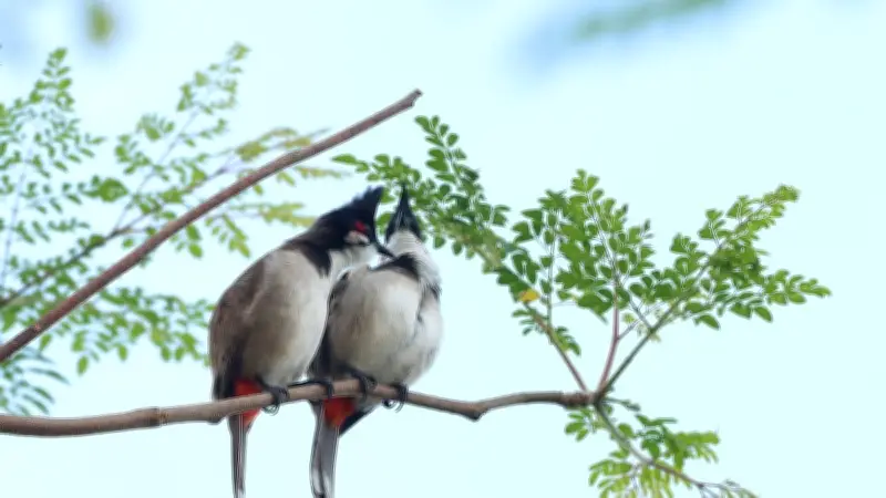 ঈদের ছুটির শেষ দিনে দেশজুড়ে মানুষের পদচারণা ও নানা দৃশ্য