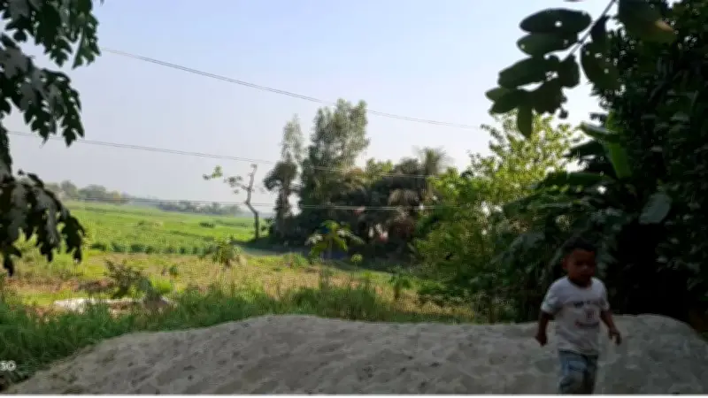 মেঘনায় বিদ্যুতের তার বিপদ, প্রধানমন্ত্রীর ট্রাফিক নির্দেশ ও জ্বালানি সংকটে নতুন ঋণ আলোচনা