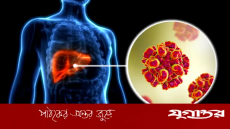 হেপাটাইটিস 'ই' প্রতিরোধে যুগান্তকারী ওষুধ আবিষ্কার: 'বিএমএন ফসবিউভির' এর সম্ভাবনা