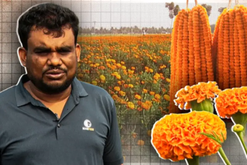 প্রথম আলোর ভিডিও প্রতিবেদনে বাংলাদেশের সাম্প্রতিক ঘটনাবলীর বিশদ চিত্র