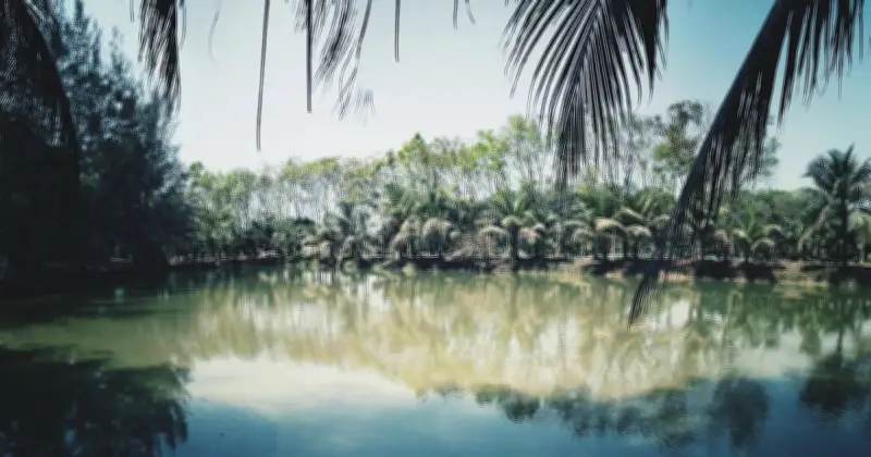 বাংলাদেশের ভবিষ্যৎ নির্ধারণে পানির নিরাপত্তা: রাজনীতি থেকে বাস্তবতা