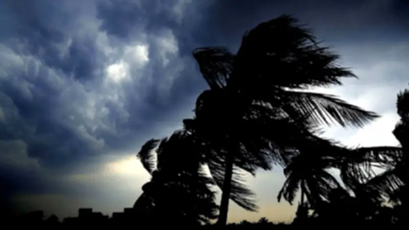 বৈদ্যুতিক শর্ট সার্কিটে ২৪ দোকান পুড়ে ছাই, প্রধানমন্ত্রীর ডাকটিকিট উন্মোচন ও বাজেট আসছে