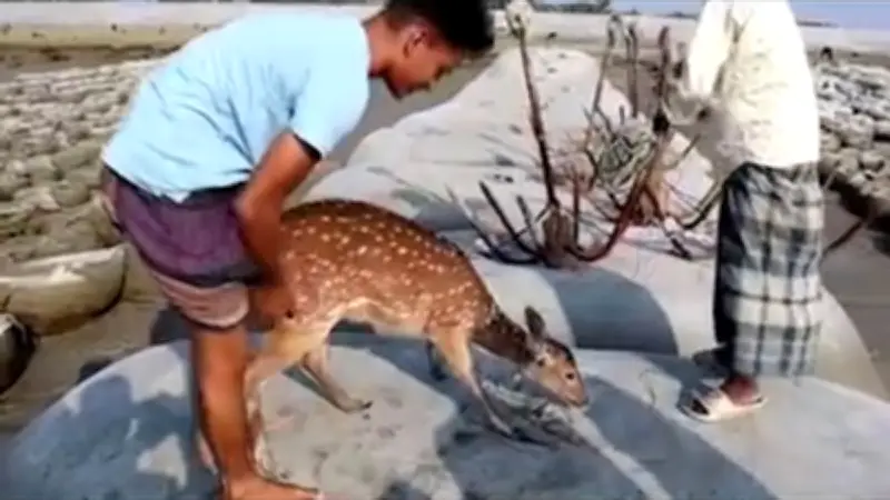 বাংলাদেশে অনলাইন শিক্ষার অগ্রগতি: নতুন সম্ভাবনা ও চ্যালেঞ্জ