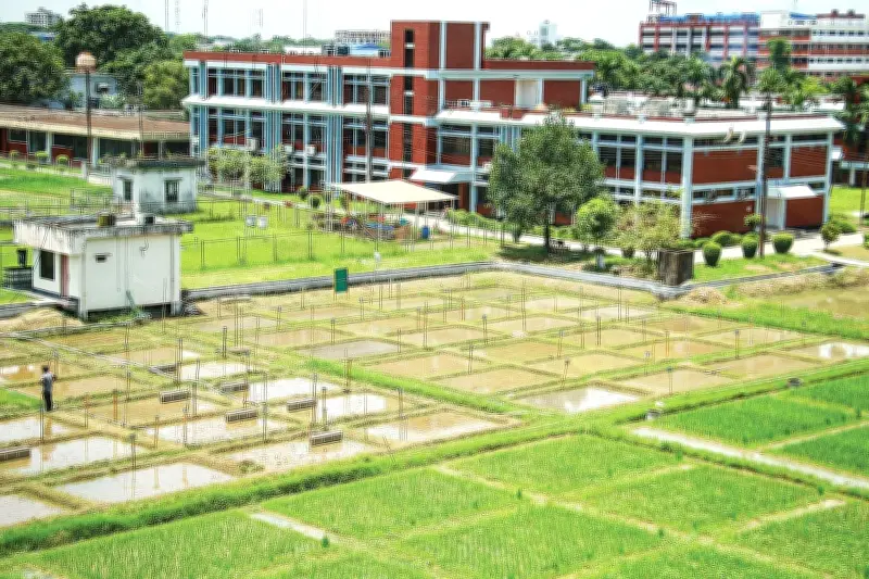 ব্রিতে পদোন্নতি নীতিমালা নিয়ে আইনি নোটিশ, মহাপরিচালকসহ ১৩ জন বিবাদী