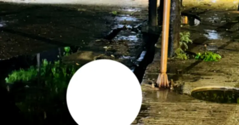 ঢাবির সূর্যসেন হলে বিদ্যুতায়িত পানিতে কুকুরের মৃত্যু, শিক্ষার্থীদের নিরাপত্তা নিয়ে উদ্বেগ