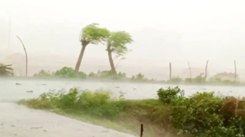 আবহাওয়া দপ্তরের পূর্বাভাস: দেশের বিভিন্ন অঞ্চলে বৃষ্টিপাতের সম্ভাবনা