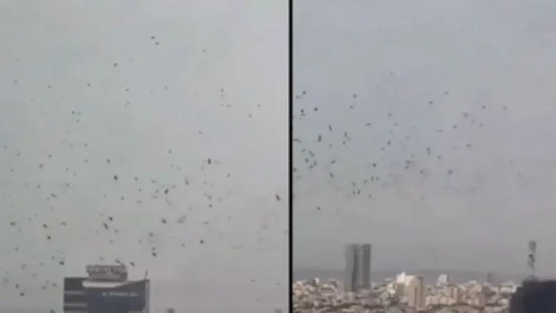 বিশ্বজুড়ে অনলাইন শিক্ষার চাহিদা বৃদ্ধি: প্রযুক্তির প্রভাব ও ভবিষ্যৎ