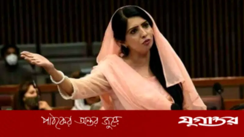 পাকিস্তানের পিটিআই নেত্রী আলিয়া হামজা মালিকের গ্রেফতার: অজ্ঞাত স্থানে নিয়ে যাওয়া হয়েছে