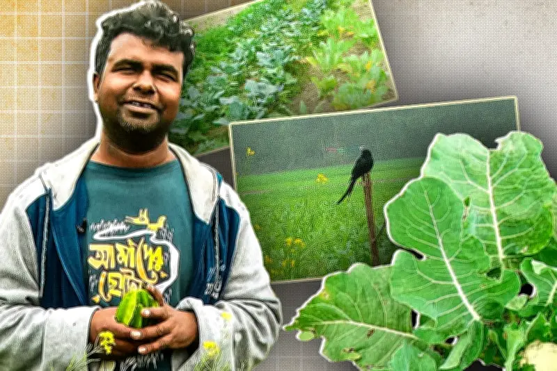 প্রথম আলোর ভিডিও বিভাগে বাংলাদেশ সম্পর্কিত নতুন প্রতিবেদন প্রকাশিত