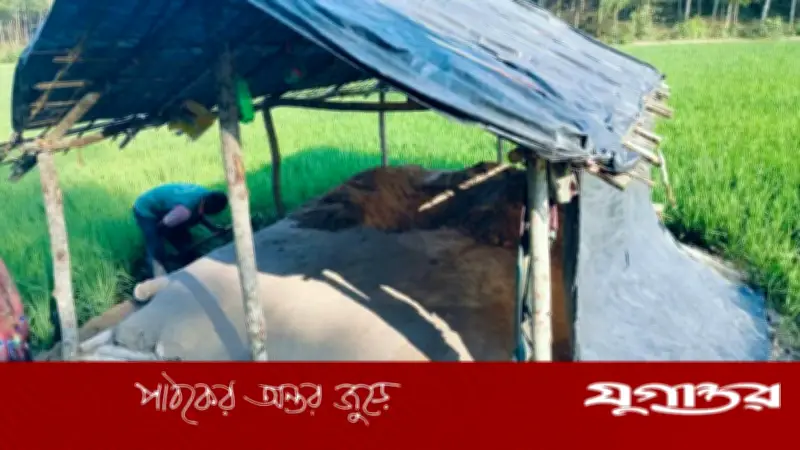 চকরিয়ায় বন্যহাতি হত্যার চাঞ্চল্যকর ঘটনা: মাটিচাপা দিয়ে কাঁচা ঘর নির্মাণ